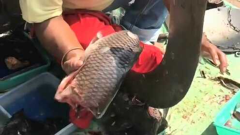 热点生活 第57页