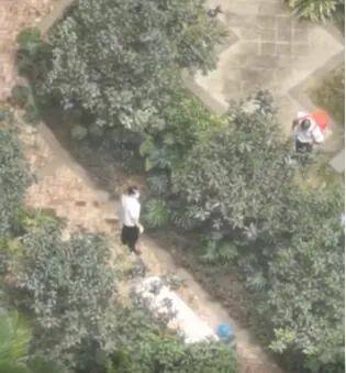 游戏专题 第45页