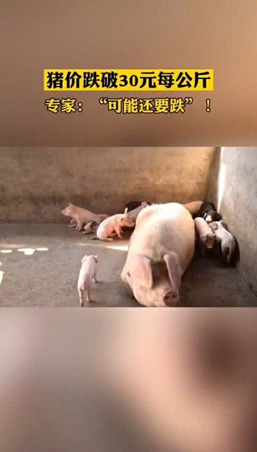 猪价跌破30元